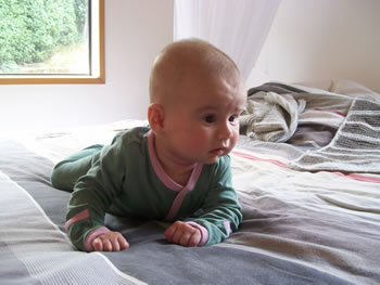 footed playsuit : soft organic cotton babywear