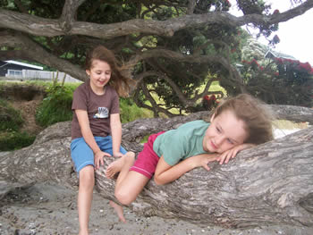 t-shirt - fantail : beautiful organic cotton clothing for children