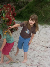 t-shirt - fantail : organic cotton baby clothes for trendy tots