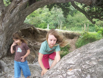 t-shirt - fantail : organic cotton sustainable style for kids