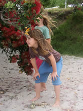 t-shirt - fantail : organic cotton eco-hip baby clothes