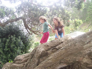 t-shirt - fantail : beautiful organic cotton clothing for children